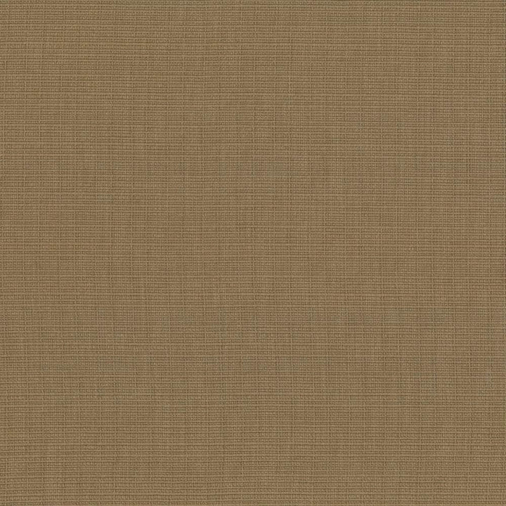 Auberge Cork by Kasmir Designer Fabric 5055 100% Polyester
 TAIWAN </p><p>Repeat: Horizontal: N/A and Vertical: N/A 59 - 60 - Swanky Fabrics -
