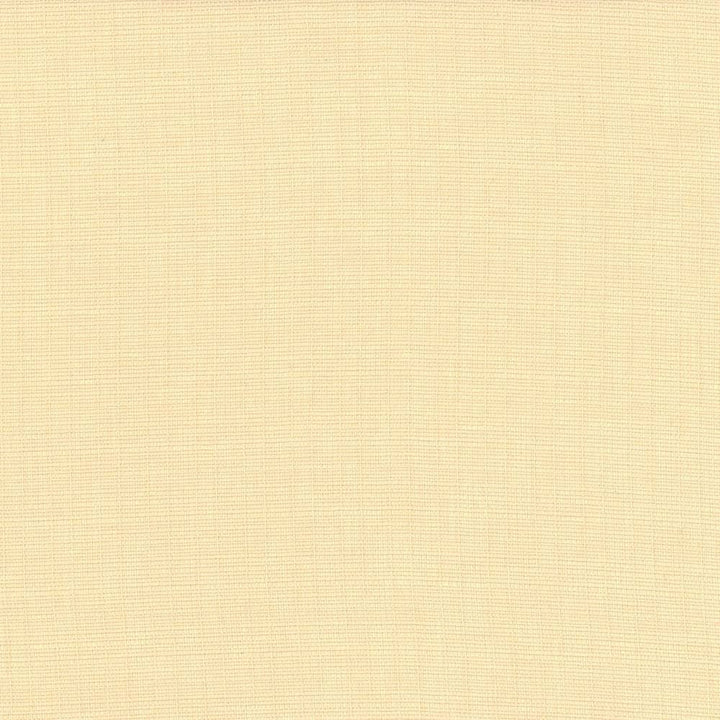 Auberge Ecru by Kasmir Designer Fabric 5055 100% Polyester
 TAIWAN 100,000 Wyzenbeek Double Rubs </p><p>Repeat: Horizontal: N/A and Vertical: N/A 59 - Swanky Fabrics -