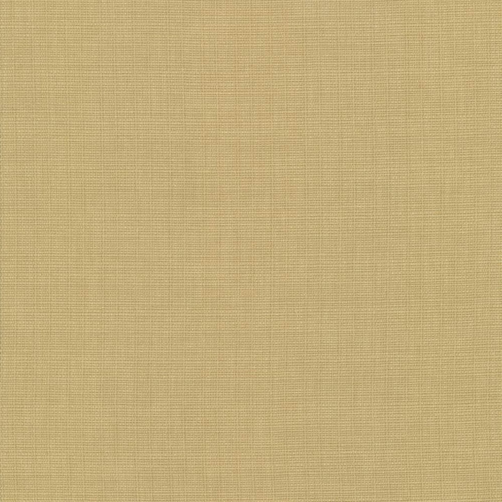 Auberge Gold  by Kasmir Designer Fabric 5055 100% Polyester
 TAIWAN 100,000 Wyzenbeek Double Rubs Horizontal: N/A and Vertical: N/A 59  - Swanky Fabrics -