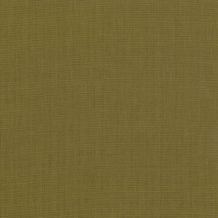 Auberge Olive by Kasmir Designer Fabric 5055 100% Polyester
 TAIWAN </p><p>Repeat: Horizontal: N/A and Vertical: N/A 59 - 60 - Swanky Fabrics -