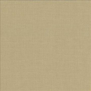 Auberge Taupe by Kasmir Designer Fabric