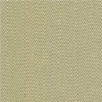 Aventura Aloe by Kasmir Designer Fabric 5099 52% Polyester 48% Cotton INDIA 50,000 Wyzenbeek Double Rubs H: 1 inches, V: 2/8 inches 54 - 55 - Swanky Fabrics - Kasmir