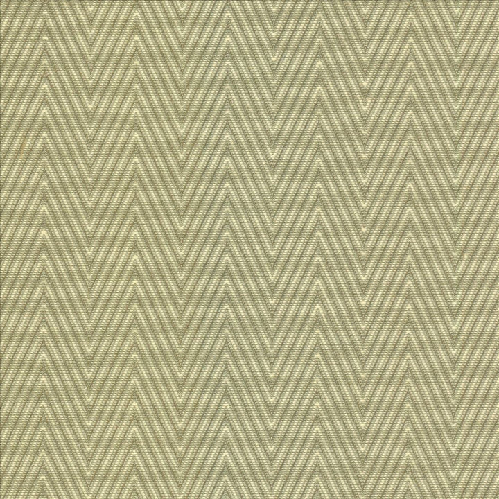 Aventura Aloe by Kasmir Designer Fabric 5099 52% Polyester 48% Cotton INDIA 50,000 Wyzenbeek Double Rubs Horizontal: 1 inches and Vertical: 2/8 inches 54 - 55 - Swanky Fabrics -