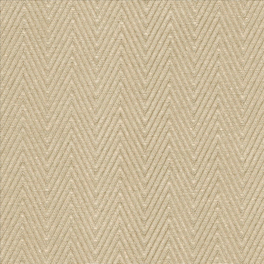 Aventura Sand by Kasmir Designer Fabric 5093 52% Polyester 48% Cotton INDIA 50,000 Wyzenbeek Double Rubs Horizontal: 1 inches and Vertical: 2/8 inches 54 - 55 - Swanky Fabrics -