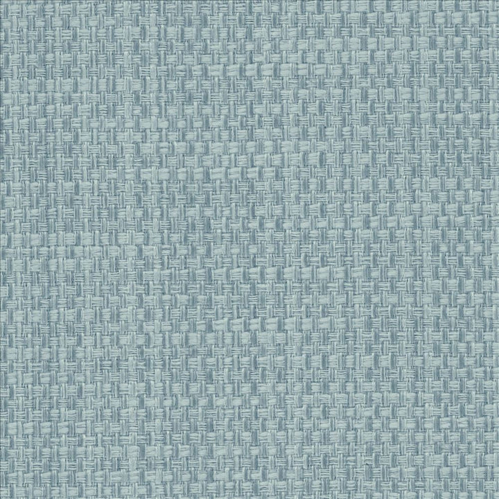 Avino Aquamarine by Kasmir Designer Fabric 5098 64% Cotton
36% Polyester
 CHINA </p><p>Repeat: Horizontal: N/A and Vertical: N/A 55 - Swanky Fabrics -