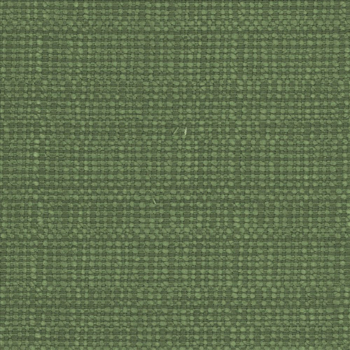 Aziza Grass by Kasmir Designer Fabric 5099 55% Rayon
45% Polyester
 CHINA </p><p>Repeat: Horizontal: N/A and Vertical: N/A 55 - 58 - Swanky Fabrics -
