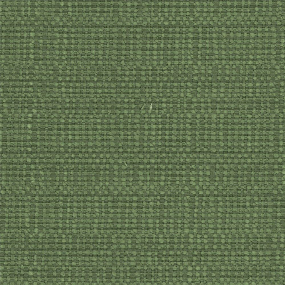 Aziza Grass by Kasmir Designer Fabric See sample 55% Rayon
45% Polyester
 CHINA 50,000 Martindale Cycles </p><p>Repeat: Horizontal: N/A and Vertical: N/A 55 - Swanky Fabrics -