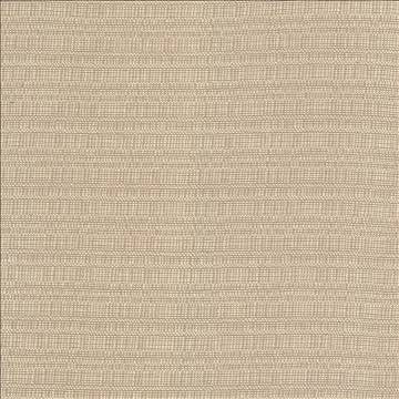 Aziza Sand by Kasmir Designer Fabric 5092 55% Rayon 45% Polyester CHINA 50,000 Martindale Cycles H: N/A, V: N/A 55 - 58 - Swanky Fabrics - Kasmir