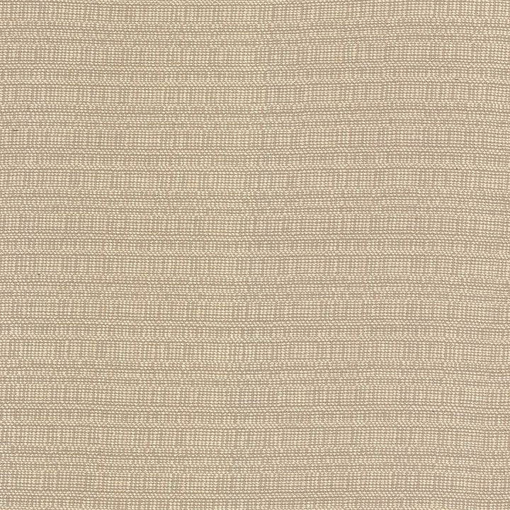 Aziza Sand by Kasmir Designer Fabric 5092 55% Rayon
45% Polyester
 CHINA 50,000 Martindale Cycles </p><p>Repeat: Horizontal: N/A and Vertical: N/A 55 - Swanky Fabrics -