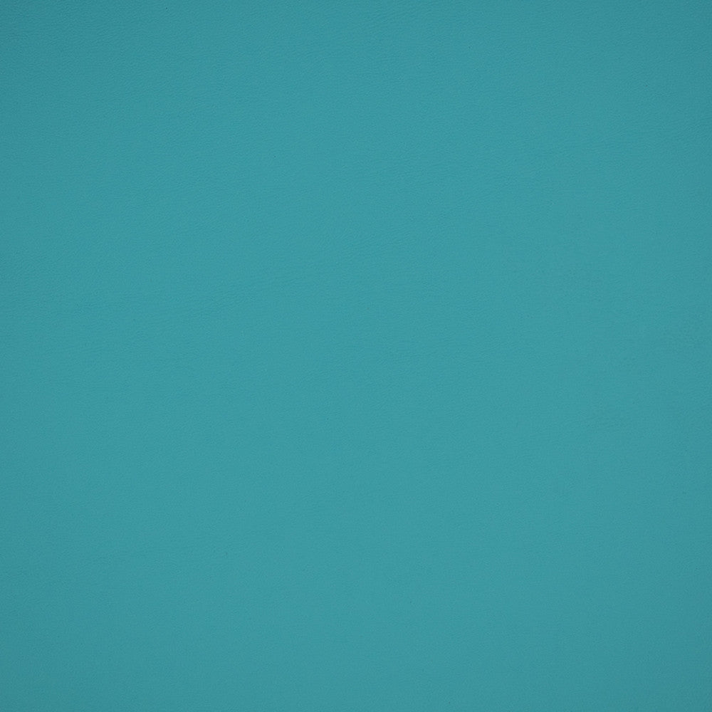 B2369 Reef by Greenhouse Designer Fabric - Face: Vinyl, Back: 100% Polyester, Mellohide 
Weight: 29.25 ± 2 Oz 
Thickness: 45 ± 5 Mils 
Cold Crack: -25°F Canada 100000 None 54" - Swanky Fabrics -