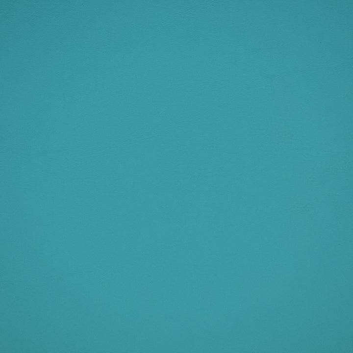 B2369 Reef by Greenhouse Designer Fabric - Face: Vinyl, Back: 100% Polyester, Mellohide 
Weight: 29.25 ± 2 Oz 
Thickness: 45 ± 5 Mils 
Cold Crack: -25°F Canada 100000 None 54" - Swanky Fabrics -