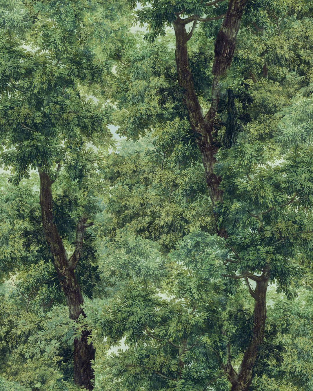 Branchy Meadow Green wallpaper by Mind the Gap (WP20785), swatch