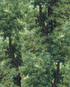 Mind The Gap Wallpaper BRANCHY Meadow Green Wallpaper (WP20785)