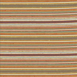 Bagwell Fiesta by Kasmir Designer Fabric