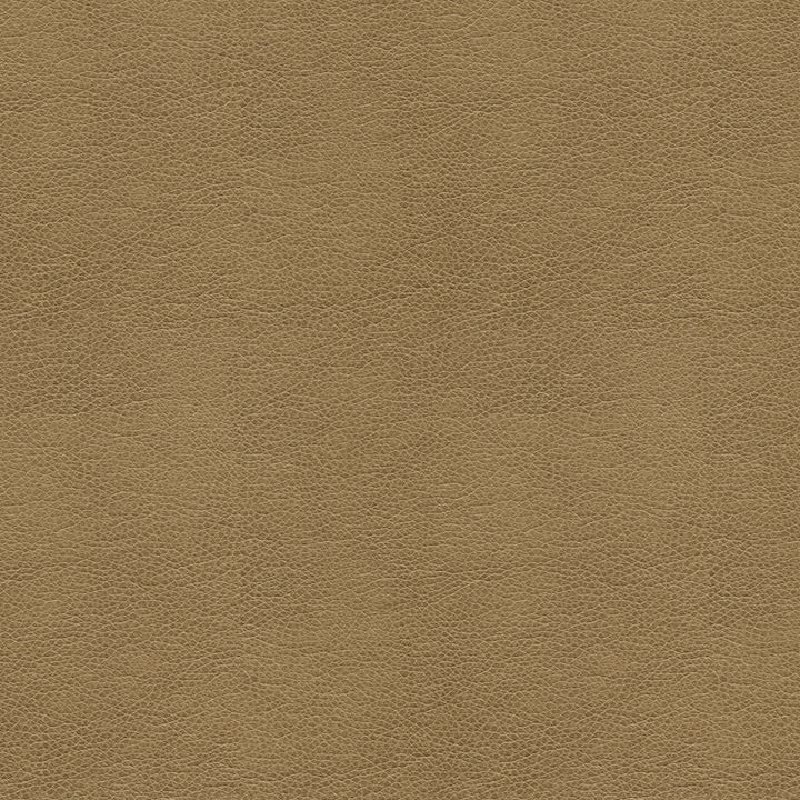 BALARA.106 by Kravet Contract Designer Fabric our website for purchase 100% Leather China Heavy Horizontal: see sample and Vertical: see sample 55 inches - Swanky Fabrics -