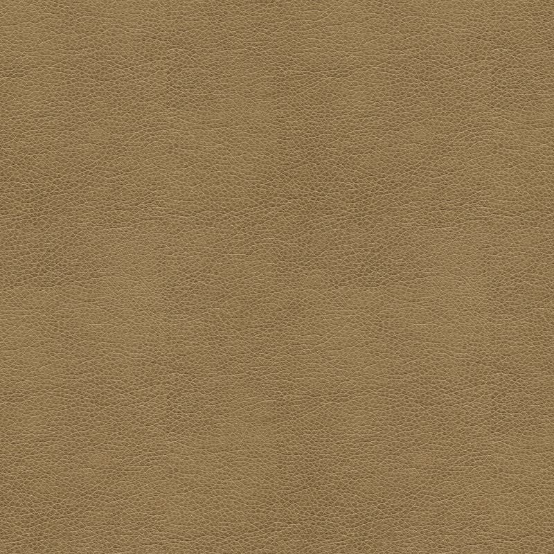 BALARA.106 by Kravet Contract Designer Fabric in our sample Polyurethane 100% China Heavy Horizontal: See Sample and Vertical: See Sample 55 inches - Swanky Fabrics -