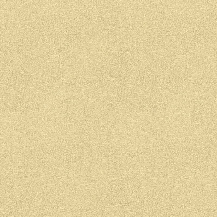 BALARA.116 by Kravet Contract Designer Fabric in our sample Polyurethane 100% China Heavy Horizontal: See Sample and Vertical: See Sample 55 inches - Swanky Fabrics -