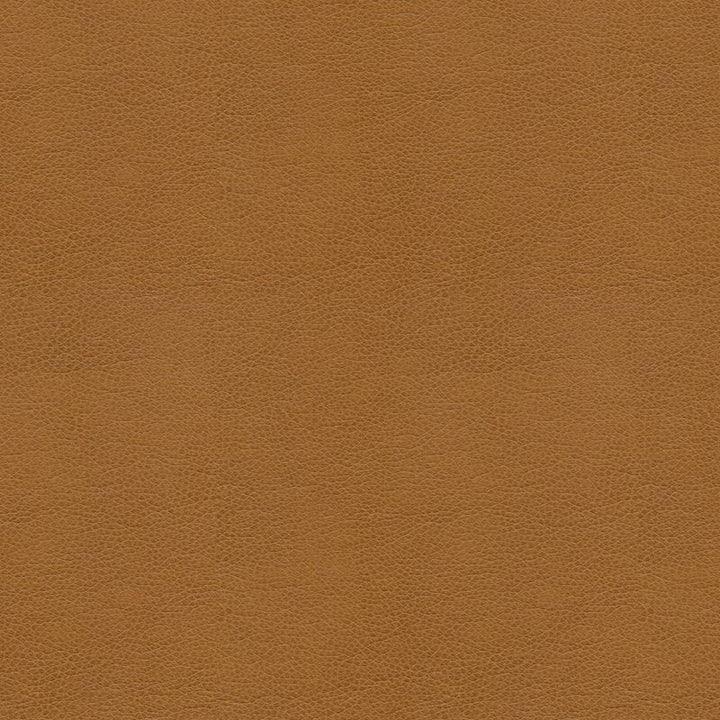 BALARA.16 by Kravet Contract Designer Fabric our website for purchase 100% Leather China Heavy Horizontal: see sample and Vertical: see sample 55 inches - Swanky Fabrics -