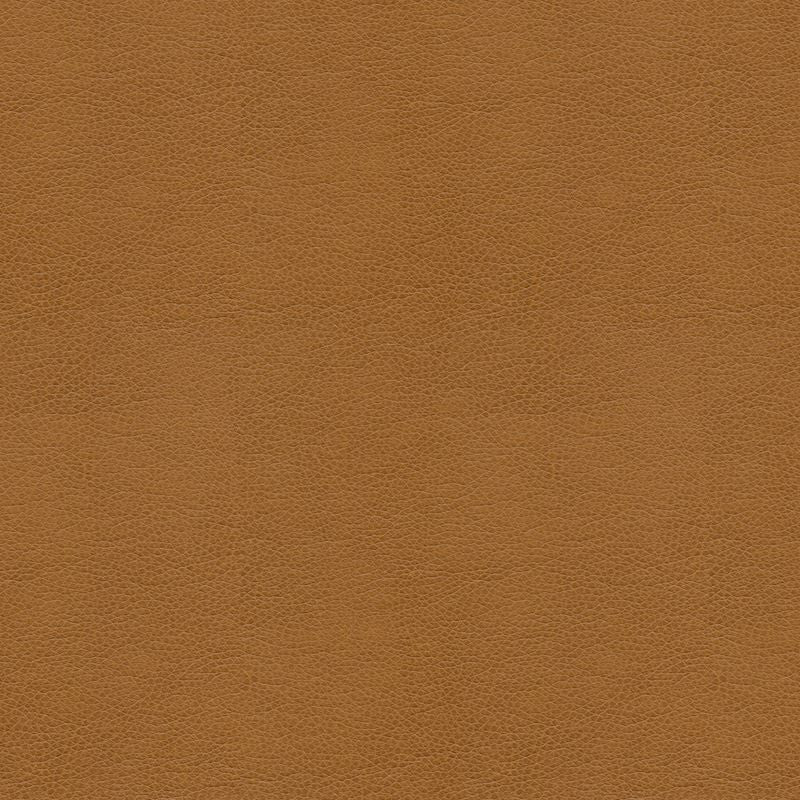 BALARA.16 by Kravet Contract Designer Fabric in our sample Polyurethane 100% China Heavy Horizontal: See Sample and Vertical: See Sample 55 inches - Swanky Fabrics -