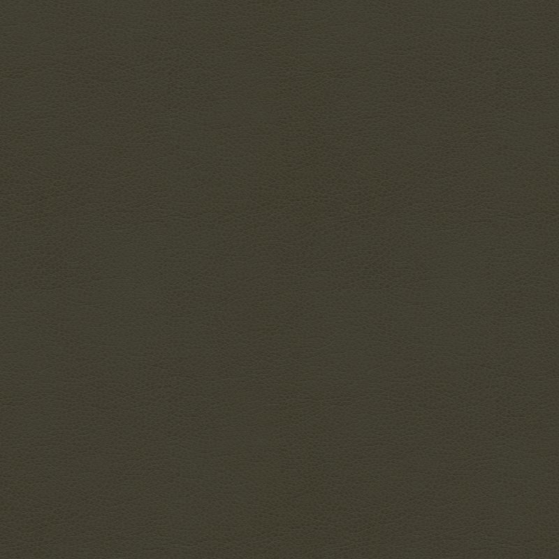 BALARA.21 by Kravet Contract Designer Fabric in our sample Polyurethane 100% China Heavy Horizontal: See Sample and Vertical: See Sample 55 inches - Swanky Fabrics -