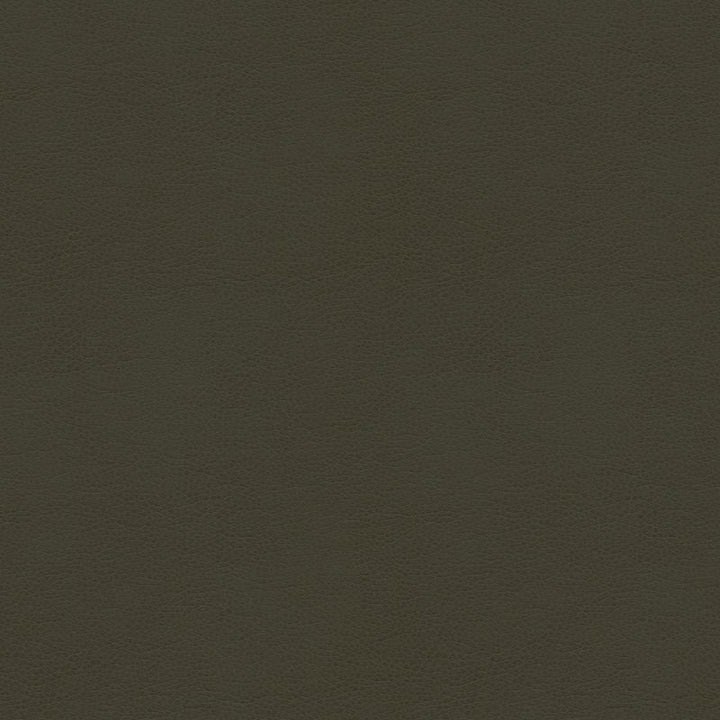 BALARA.21 by Kravet Contract Designer Fabric our website for purchase 100% Leather China Heavy Horizontal: see sample and Vertical: see sample 55 inches - Swanky Fabrics -