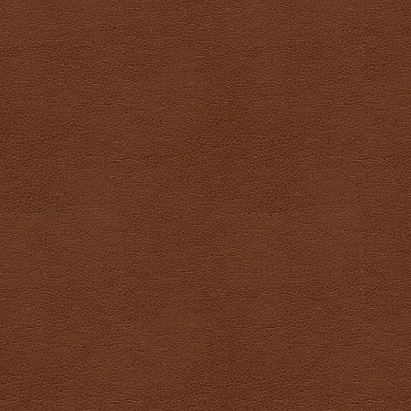BALARA.6 by Kravet Contract Designer Fabric in our sample Polyurethane 100% China Heavy Horizontal: See Sample and Vertical: See Sample 55 inches - Swanky Fabrics -