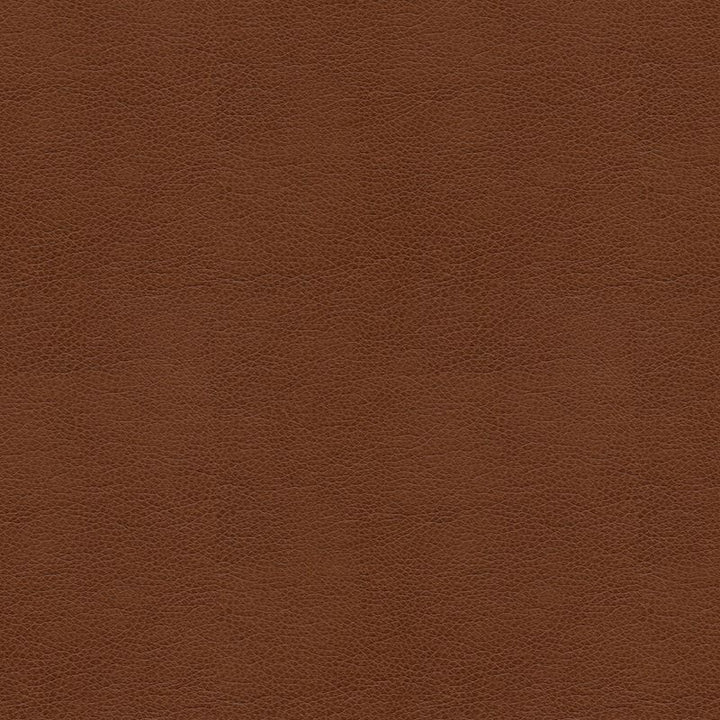 BALARA.6 by Kravet Contract Designer Fabric in our sample Polyurethane 100% China Heavy Horizontal: See Sample and Vertical: See Sample 55 inches - Swanky Fabrics -