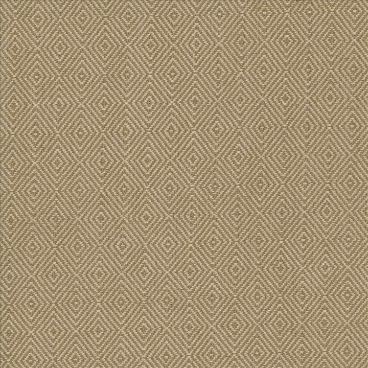 Balducci Coffee  by Kasmir Designer Fabric 5093 100% Cotton
 INDIA 12,000 Wyzenbeek Double Rubs Horizontal: 1 2/8 inches and Vertical: 1 4/8 inches 54  - Swanky Fabrics -