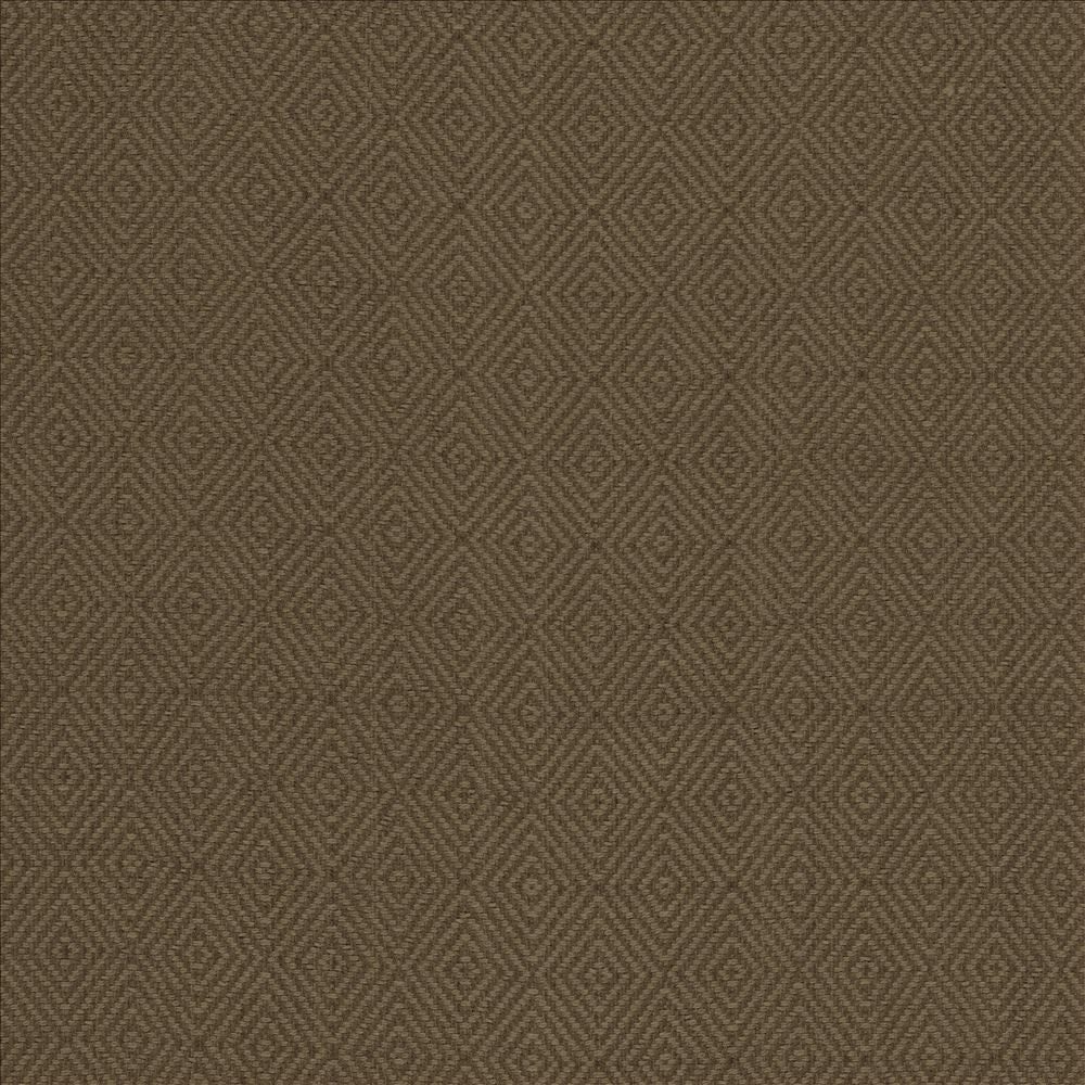 Balducci Ranger  by Kasmir Designer Fabric 5101 100% Cotton
 INDIA 12,000 Wyzenbeek Double Rubs Horizontal: 1 2/8 inches and Vertical: 1 4/8 inches 54  - Swanky Fabrics -