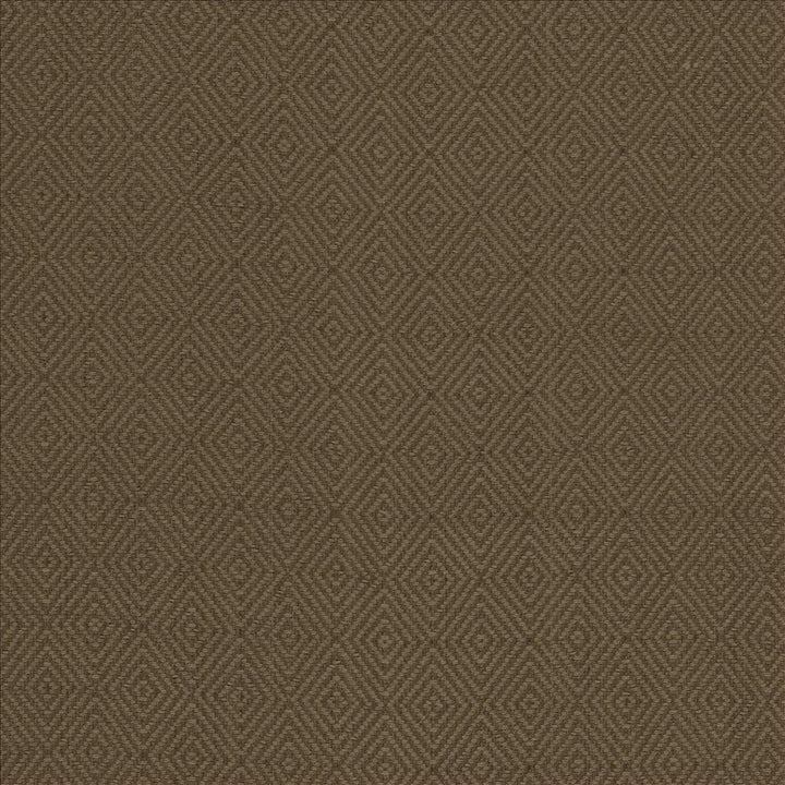 Balducci Ranger by Kasmir Designer Fabric 5101 100% Cotton
 INDIA 12,000 Wyzenbeek Double Rubs </p><p>Repeat: Horizontal: 1 2/8 inches and Vertical: 1 4/8 inches 54 - Swanky Fabrics -