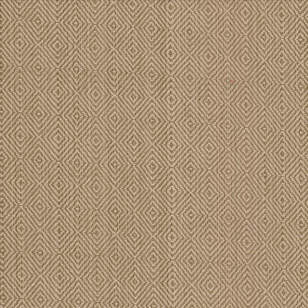 Balducci Teastain  by Kasmir Designer Fabric 5092 100% Cotton
 INDIA 12,000 Wyzenbeek Double Rubs Horizontal: 1 2/8 inches and Vertical: 1 4/8 inches 54  - Swanky Fabrics -