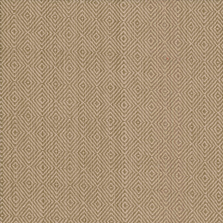 Balducci Teastain by Kasmir Designer Fabric 5092 100% Cotton INDIA 12,000 Wyzenbeek Double Rubs Horizontal: 1 2/8 inches and Vertical: 1 4/8 inches 54 - 55 - Swanky Fabrics -