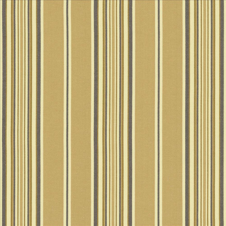 Bandwidth Sand by Kasmir Designer Fabric 5141 100% Cotton TURKEY 50,000 Wyzenbeek Double Rubs Horizontal: 7 2/8 inches and Vertical: 0 Inches 55 - Swanky Fabrics -