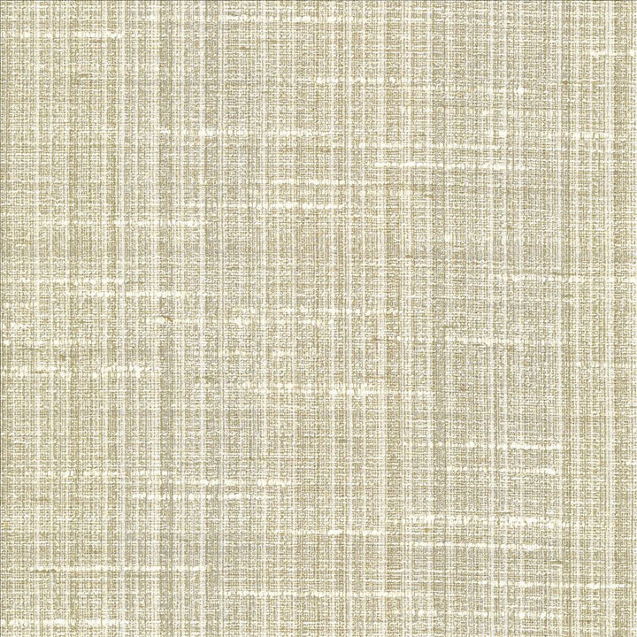 Bansuri Dew by Kasmir Designer Fabric 5066 80% Polyester
20% Cotton
 INDIA </p><p>Repeat: Horizontal: N/A and Vertical: N/A 55 - 56 - Swanky Fabrics -