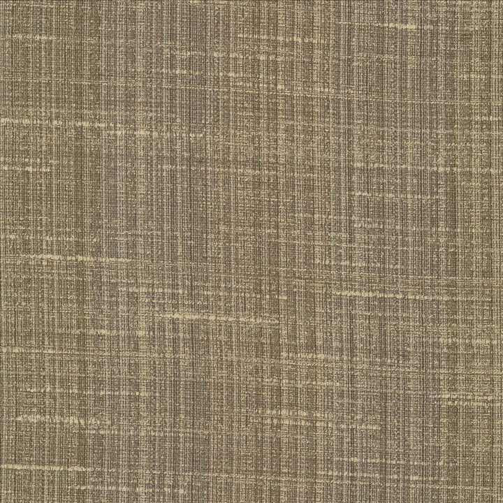 Bansuri Toffee by Kasmir Designer Fabric 5066 80% Polyester
20% Cotton
 INDIA </p><p>Repeat: Horizontal: N/A and Vertical: N/A 55 - 56 - Swanky Fabrics -