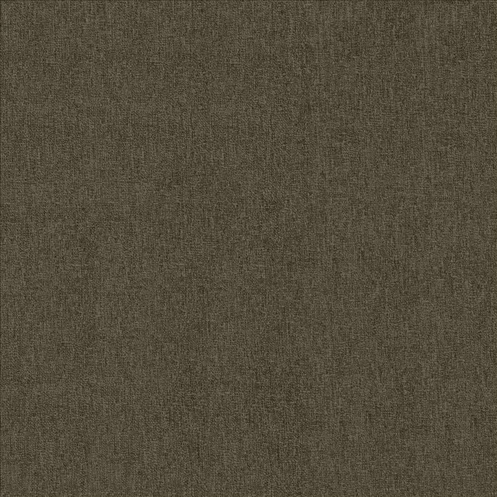 Bashful Earth by Kasmir Designer Fabric 5171 100% Polyester
 CHINA 50,000 Wyzenbeek Double Rubs </p><p>Repeat: Horizontal: N/A and Vertical: N/A 54 - Swanky Fabrics -
