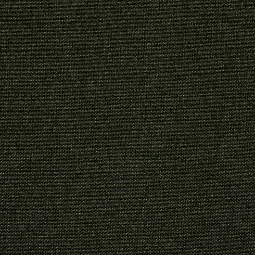 48141 Cast Ivy by Sunbrella Designer Fabric Sunbrella® Acrylic, Sunbrella® Polyester, Sunbrella® Non-Phthalate PVC USA or Imported 5-Year Horizontal: and Vertical: 54 in. - Swanky Fabrics -