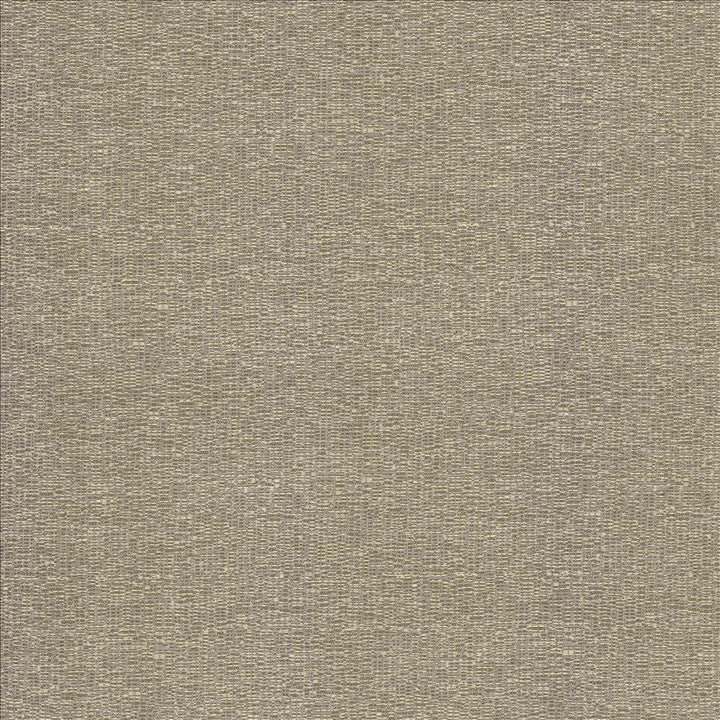 Becker Smoke by Kasmir Designer Fabric 5118 100% Polyester
 USA </p><p>Repeat: Horizontal: N/A and Vertical: N/A 56 - Swanky Fabrics -