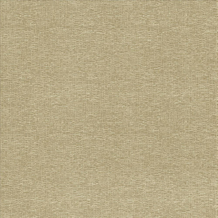 Becker Suede by Kasmir Designer Fabric 5118 100% Polyester
 USA 33,000 Wyzenbeek Double Rubs </p><p>Repeat: Horizontal: N/A and Vertical: N/A 56 - Swanky Fabrics -