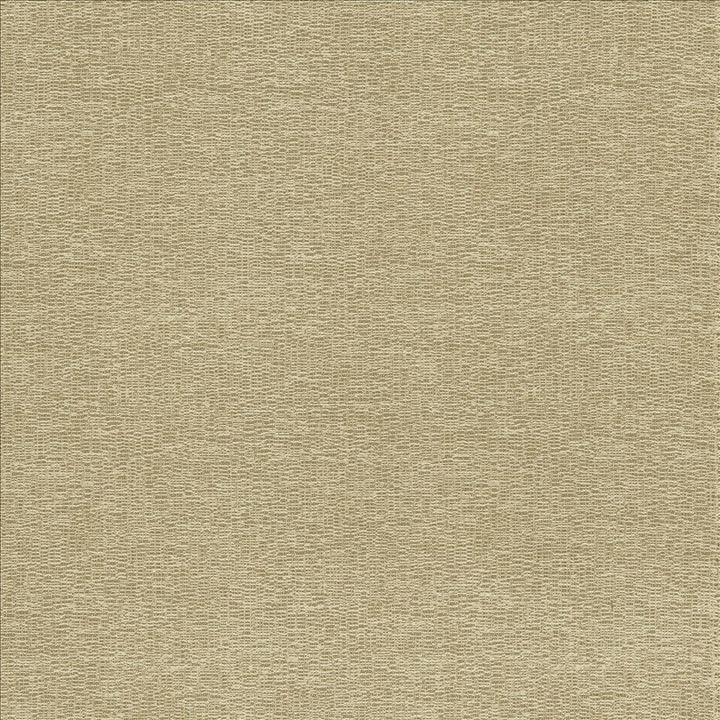 Becker Suede by Kasmir Designer Fabric 5118 100% Polyester
 USA </p><p>Repeat: Horizontal: N/A and Vertical: N/A 56 - Swanky Fabrics -