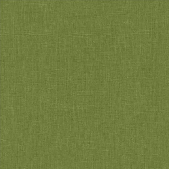 Belgique Basil by Kasmir Designer Fabric 5176 100% Linen
 CHINA 12,000 Martindale Cycles </p><p>Repeat: Horizontal: N/A and Vertical: N/A 55 - Swanky Fabrics -