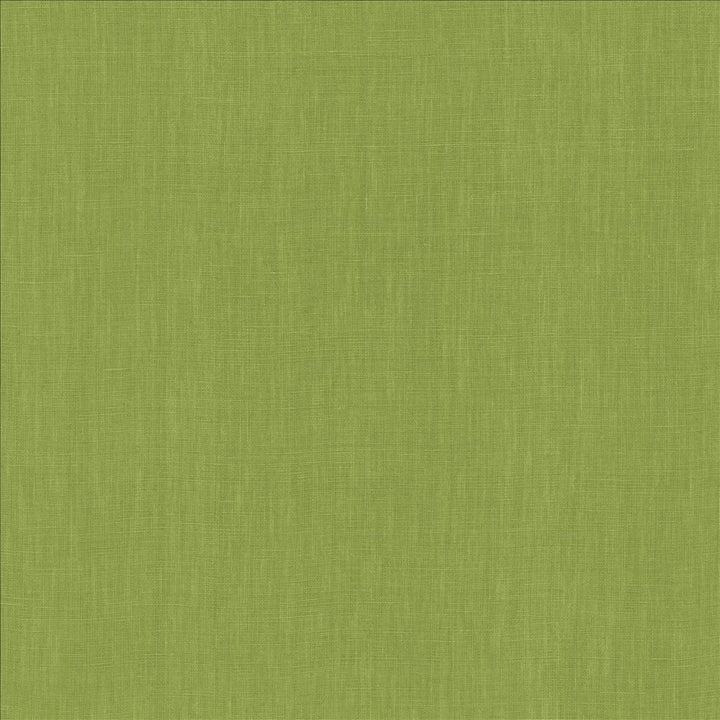Belgique Basil by Kasmir Designer Fabric 5176 100% Linen
 CHINA </p><p>Repeat: Horizontal: N/A and Vertical: N/A 55 - 57 - Swanky Fabrics -