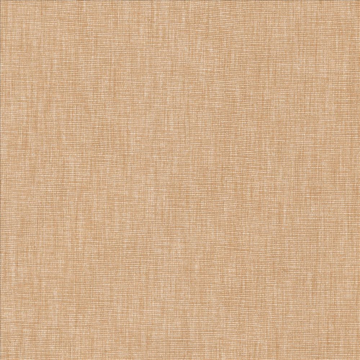 Beltran Ash Rose by Kasmir Designer Fabric 5163 100% Polyester
 INDIA 20,000 Wyzenbeek Double Rubs </p><p>Repeat: Horizontal: N/A and Vertical: N/A 54 - Swanky Fabrics -