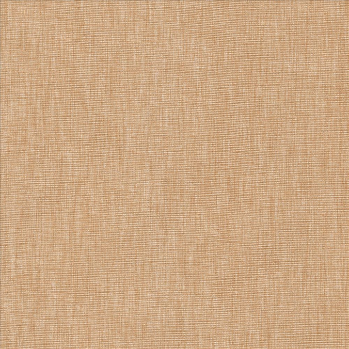Beltran Ash Rose by Kasmir Designer Fabric See sample 100% Polyester
 INDIA 20,000 Wyzenbeek Double Rubs </p><p>Repeat: Horizontal: N/A and Vertical: N/A 54 - Swanky Fabrics -