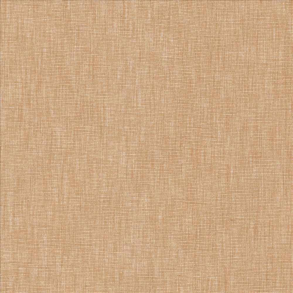 Beltran Ash Rose by Kasmir Designer Fabric 5163 100% Polyester
 INDIA </p><p>Repeat: Horizontal: N/A and Vertical: N/A 54 - Swanky Fabrics -