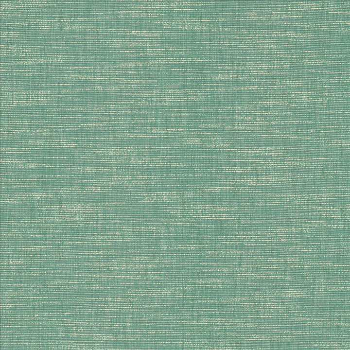 Beltran Bahamas by Kasmir Designer Fabric See sample 100% Polyester
 INDIA 20,000 Wyzenbeek Double Rubs </p><p>Repeat: Horizontal: N/A and Vertical: N/A 54 - Swanky Fabrics -