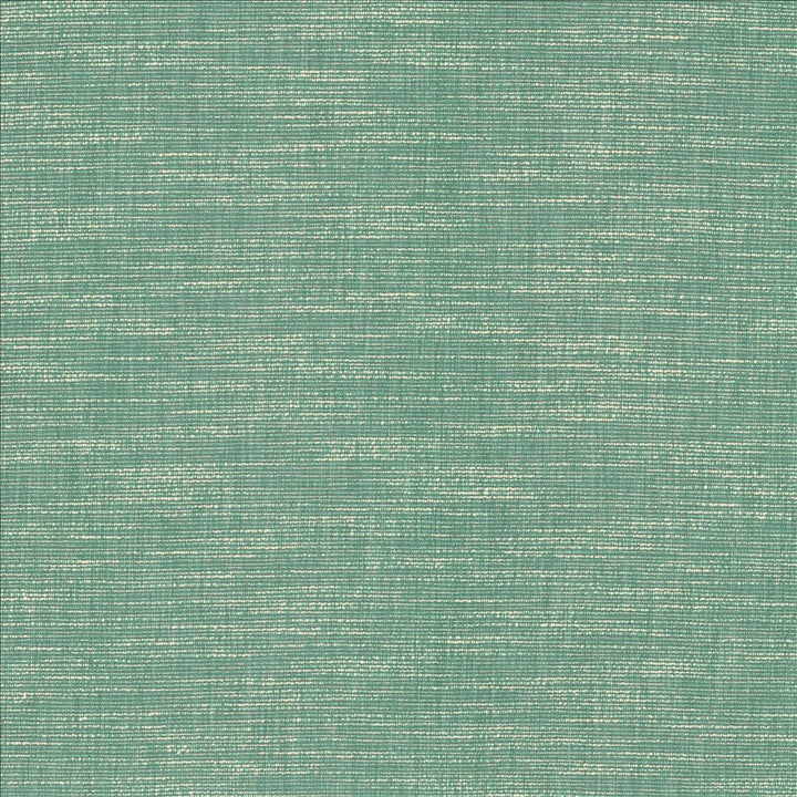 Beltran Bahamas by Kasmir Designer Fabric 5163 100% Polyester
 INDIA 20,000 Wyzenbeek Double Rubs </p><p>Repeat: Horizontal: N/A and Vertical: N/A 54 - Swanky Fabrics -