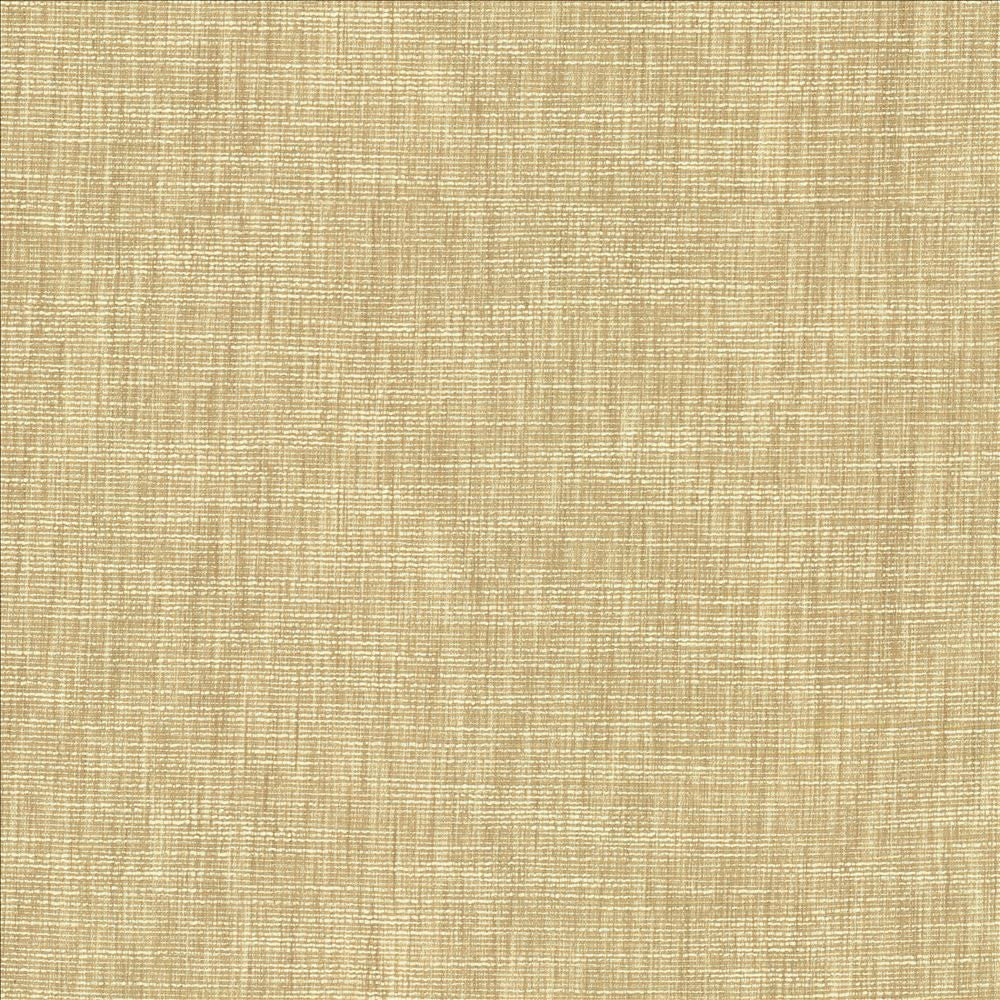 Beltran Bisque by Kasmir Designer Fabric 5163 100% Polyester
 INDIA 20,000 Wyzenbeek Double Rubs </p><p>Repeat: Horizontal: N/A and Vertical: N/A 54 - Swanky Fabrics -