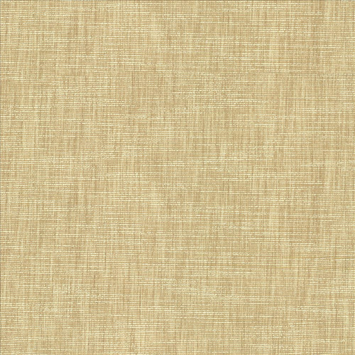 Beltran Bisque by Kasmir Designer Fabric 5163 100% Polyester
 INDIA 20,000 Wyzenbeek Double Rubs </p><p>Repeat: Horizontal: N/A and Vertical: N/A 54 - Swanky Fabrics -