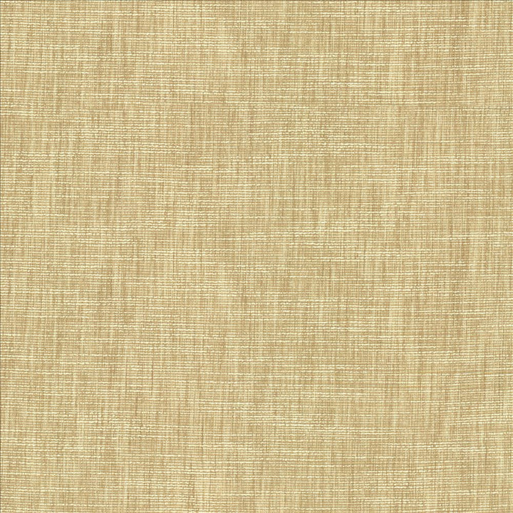 Beltran Bisque by Kasmir Designer Fabric 5163 100% Polyester
 INDIA </p><p>Repeat: Horizontal: N/A and Vertical: N/A 54 - Swanky Fabrics -